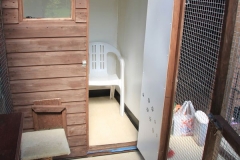 Inside the cattery door