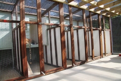 Inside shot of the cattery