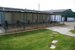 Kennels with dogs