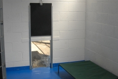 Inside the kennels with dog bed