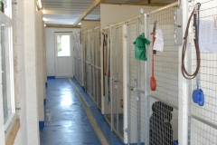 Kennel run