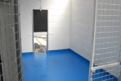 dog-boarding-kennels-northampton