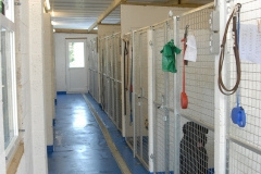 hunters-lodge-dog-kennels-Inside