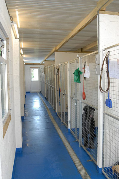 Inside the kennels