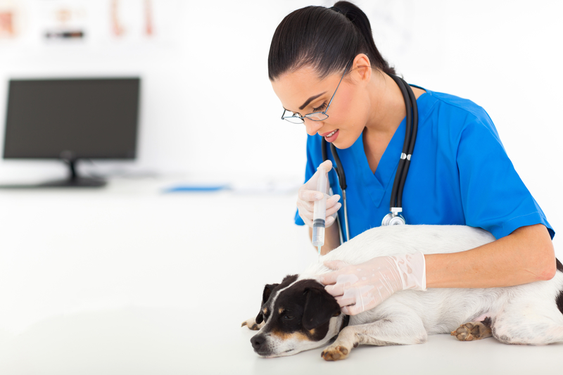 Dog Vaccination