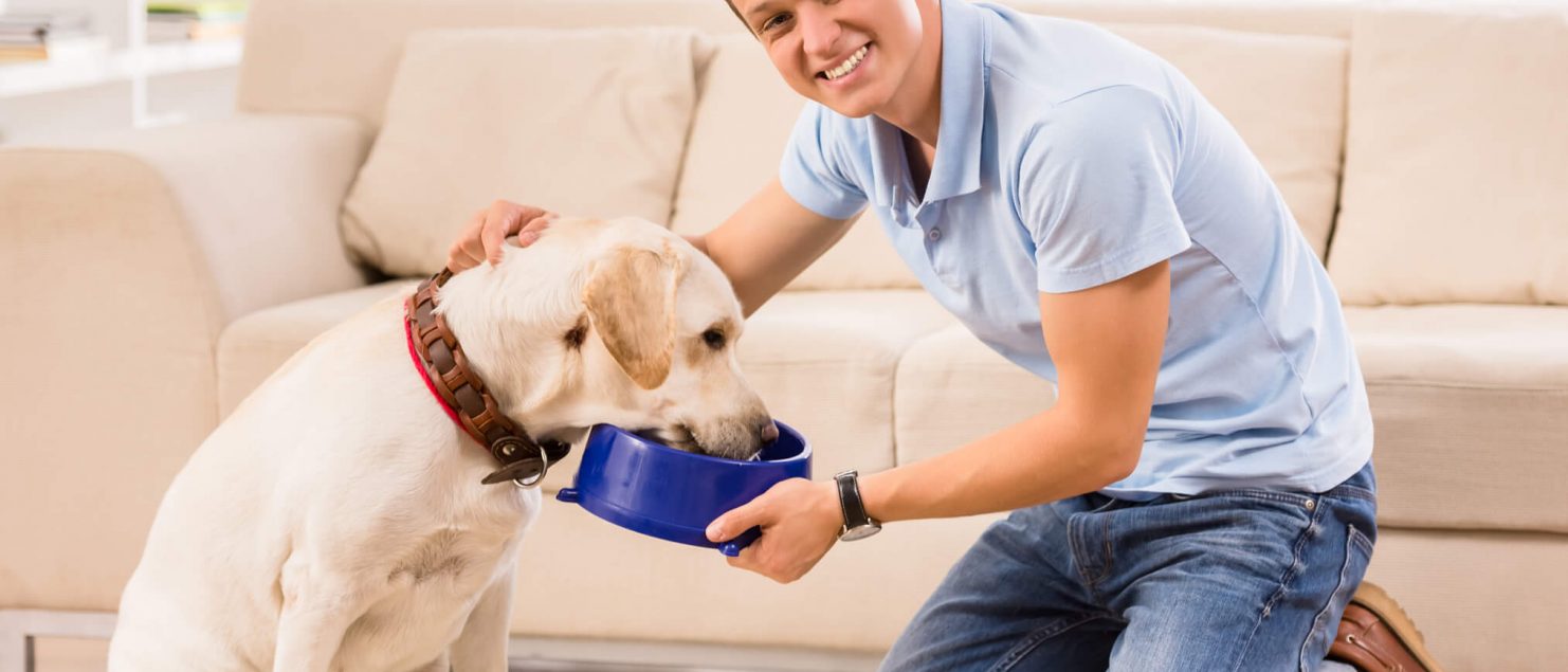 Feeding puppy