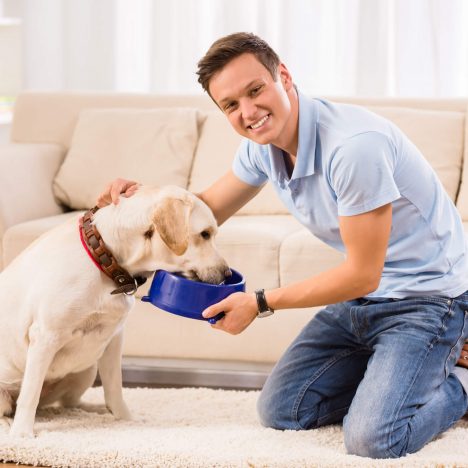 Feeding puppy
